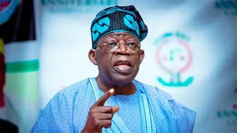 Nigeria pushes for permanent African seats on UN Security Council